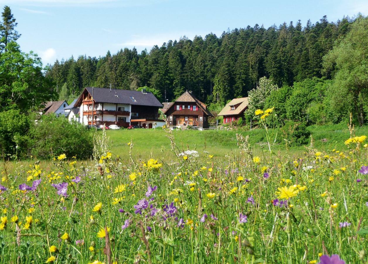 Landhaus Anja Freudenstadt Bagian luar foto